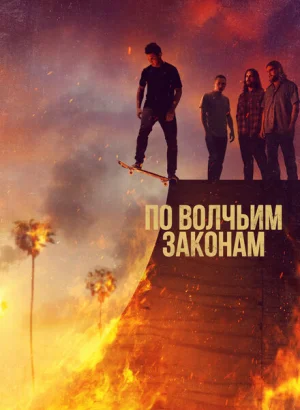По волчьим законам